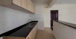 APARTMENT TO LET IN KILELESHWA