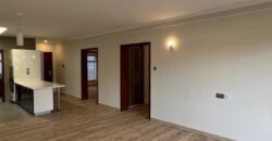 APARTMENT TO LET IN KILELESHWA