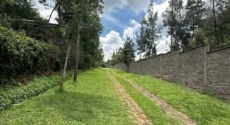 PLOT FOR SALE IN KAREN