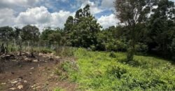 PLOT FOR SALE IN KAREN