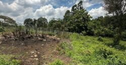 PLOT FOR SALE IN KAREN