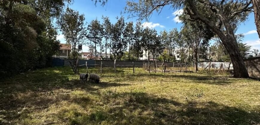 PLOT FOR SALE IN KAREN