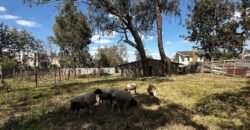 PLOT FOR SALE IN KAREN