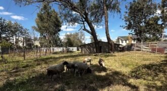 PLOT FOR SALE IN KAREN