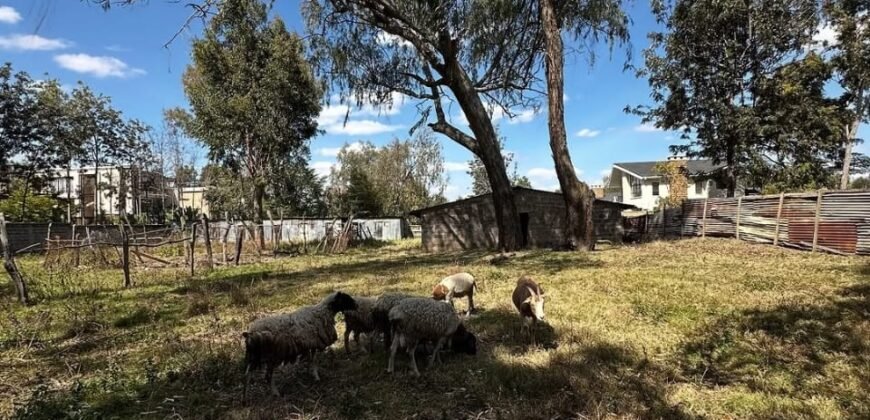 PLOT FOR SALE IN KAREN