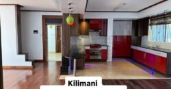 APARTMENT TO LET IN KILIMANI