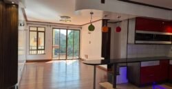 APARTMENT TO LET IN KILIMANI
