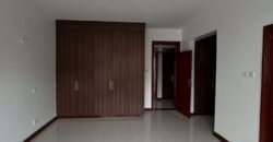 APARTMENT TO LET IN WESTLANDS