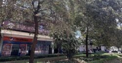 COMMERCIAL BUILDING FOR SALE