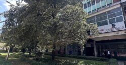 COMMERCIAL BUILDING FOR SALE