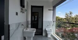 APARTMENT TO LET KILELESHWA