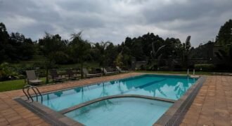 APARTMENT TO LET IN KITISURU