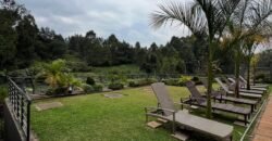 APARTMENT TO LET IN KITISURU