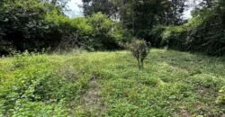 PLOT FOR SALE IN KAREN