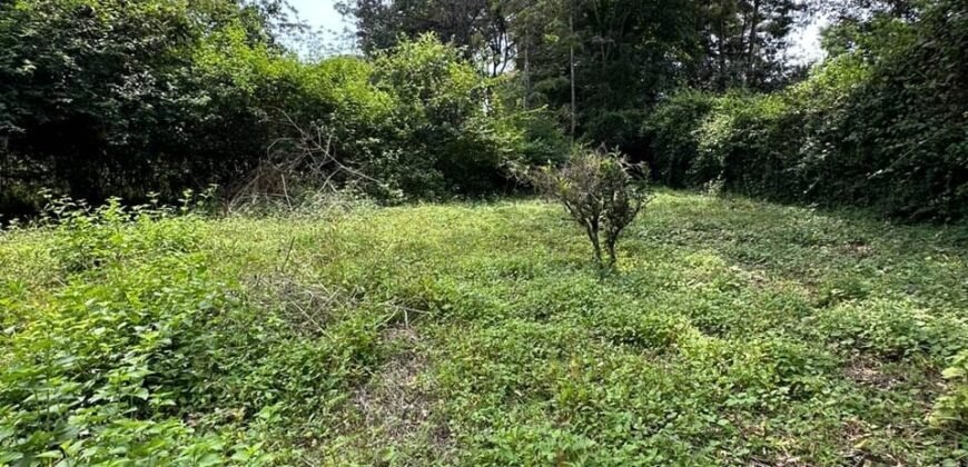PLOT FOR SALE IN KAREN