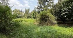 PLOT FOR SALE IN KAREN