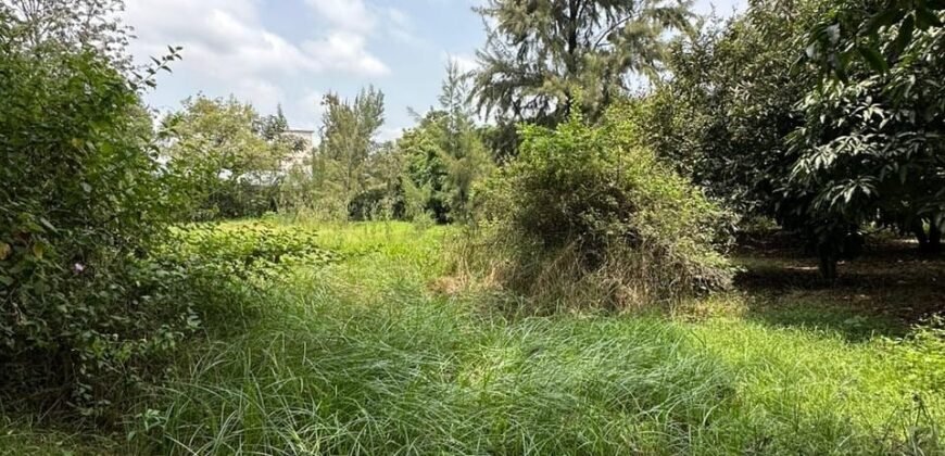 PLOT FOR SALE IN KAREN