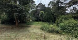 PLOT FOR SALE IN KAREN