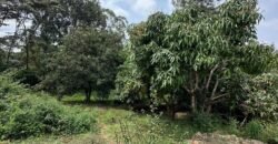 PLOT FOR SALE IN KAREN
