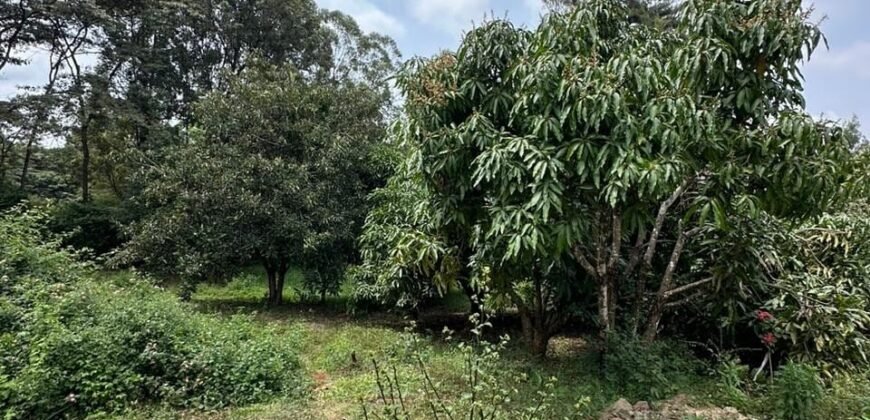 PLOT FOR SALE IN KAREN