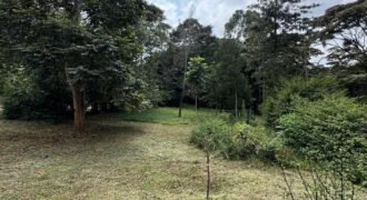 PLOT FOR SALE IN KAREN
