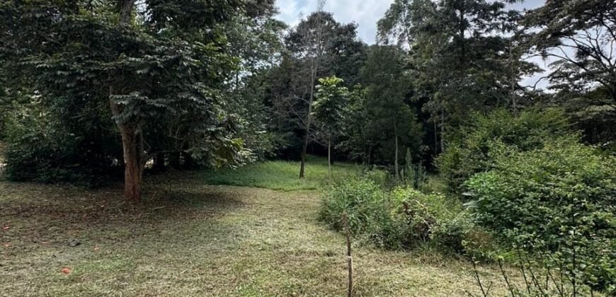 PLOT FOR SALE IN KAREN