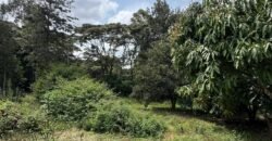 PLOT FOR SALE IN KAREN