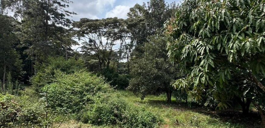 PLOT FOR SALE IN KAREN