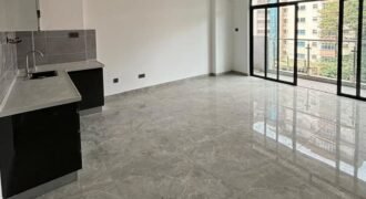 APARTMENT TO LET IN LAVINGTON