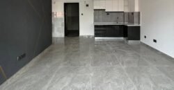 APARTMENT TO LET IN LAVINGTON