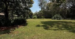 PLOT FOR SALE IN KITISURU