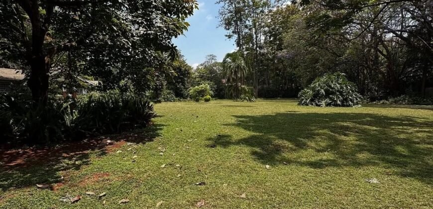 PLOT FOR SALE IN KITISURU