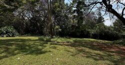 PLOT FOR SALE IN KITISURU