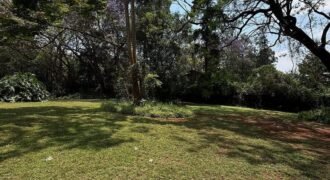PLOT FOR SALE IN KITISURU