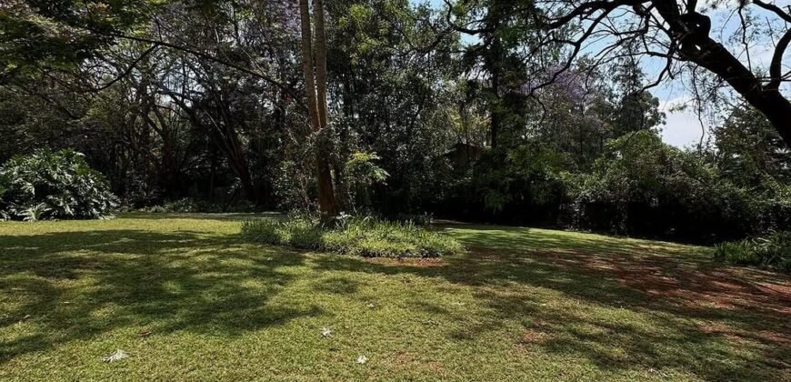 PLOT FOR SALE IN KITISURU