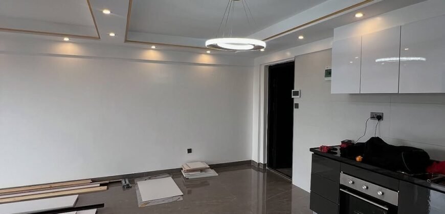 APARTMENT TO LET IN KILELESHWA