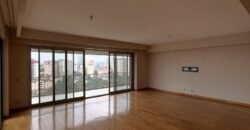 APARTMENT TO LET IN KILELESHWA