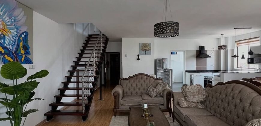 APARTMENT TO LET IN KILIMANI