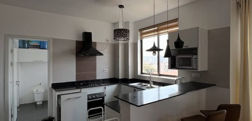 APARTMENT TO LET IN KILIMANI