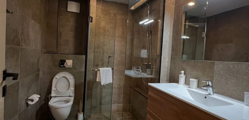 APARTMENT TO LET IN KILIMANI