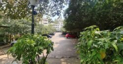 APARTMENT TO LET IN LAVINGTON