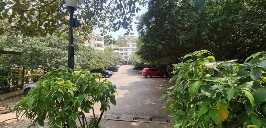 APARTMENT TO LET IN LAVINGTON