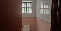 APARTMENT TO LET IN LAVINGTON