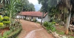 PLOT FOR SALE IN KYUNA