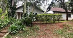 PLOT FOR SALE IN KYUNA