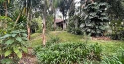 PLOT FOR SALE IN KYUNA