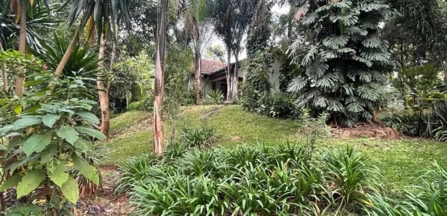 PLOT FOR SALE IN KYUNA