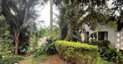 PLOT FOR SALE IN KYUNA