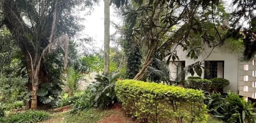 PLOT FOR SALE IN KYUNA