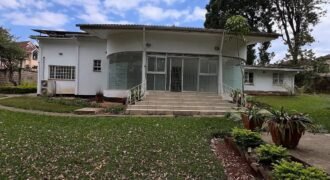 COMMERCIAL SPACE TO LET IN LAVINGTON